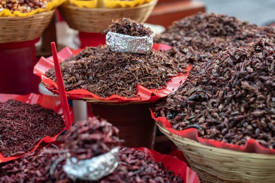 Culinary Heritage Unveiled: 4 Must-Try Delicacies in Oaxaca, Mexico 3 Chipulines - roasted grasshoppers at a market in Oaxaca Mexico