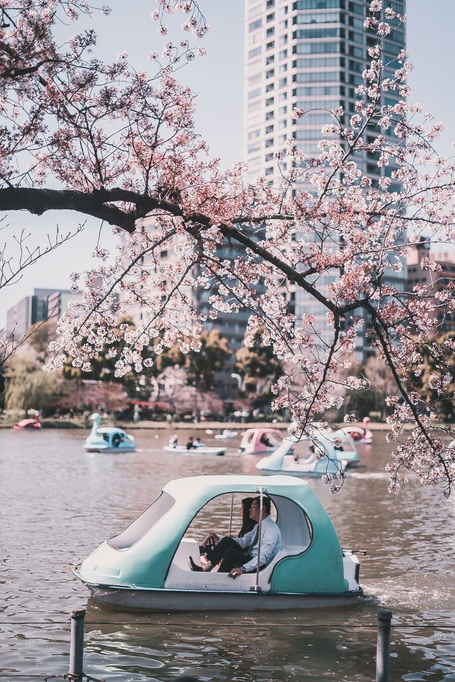 Vibrant Voyages: Discovering Tokyo's Cultural Riches in 8 Unforgettable Sites 4 Ueno Park, Tokyo, Japan