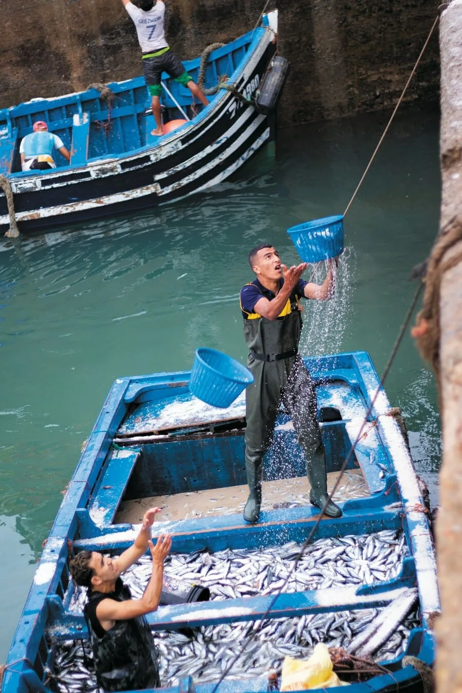 From Sea to Plate: Unforgettable Seafood Dishes in Essaouira, Morocco 6 Traditional fishing